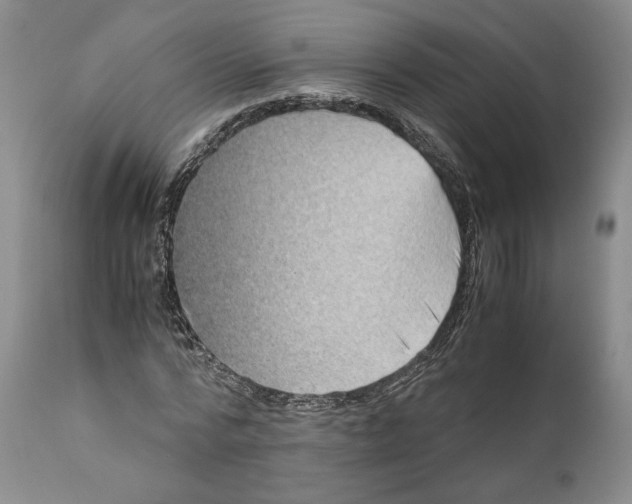 X0000110770776200907131233