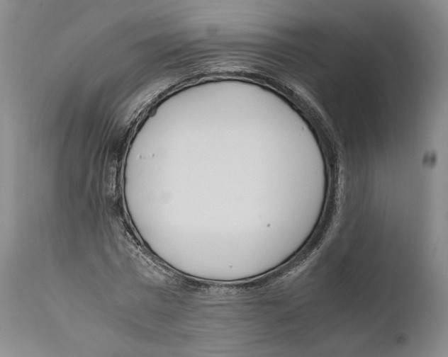 X0000110770777200907131233