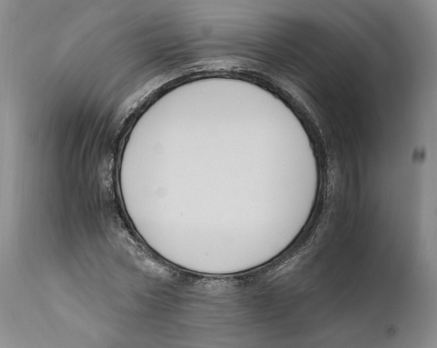 X0000110770778200907131233