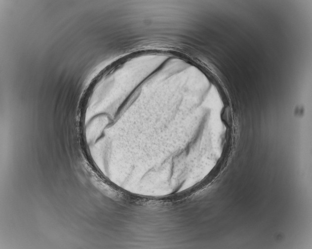 X0000110770779200907131233