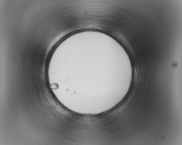 X0000110770780200907131233