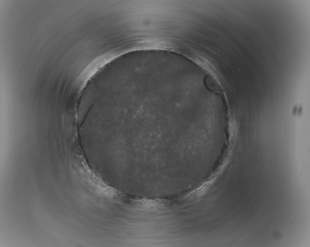 X0000110770781200907131233