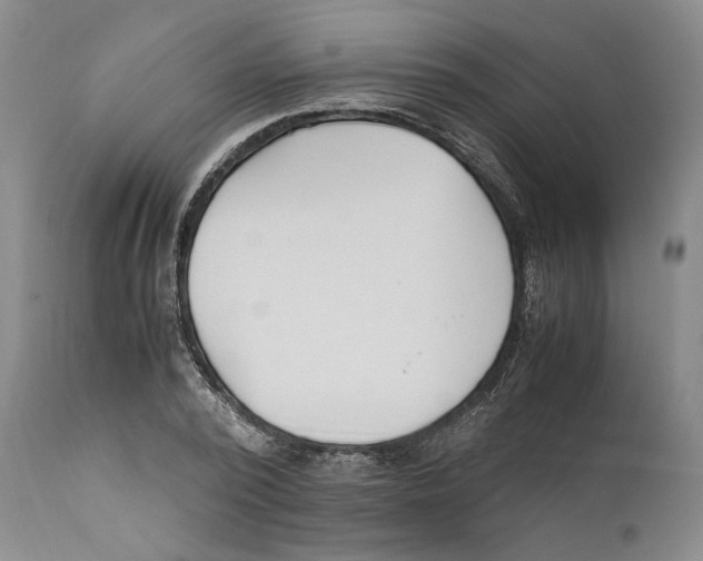 X0000110770784200907131233