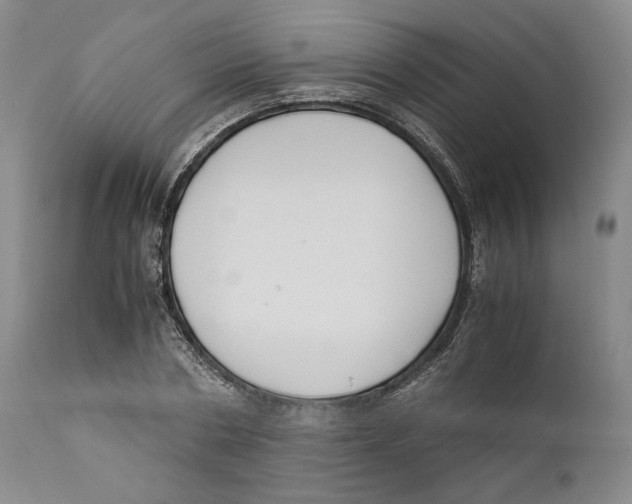 X0000110770786200907131233