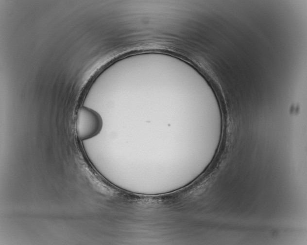 X0000110770789200907131232