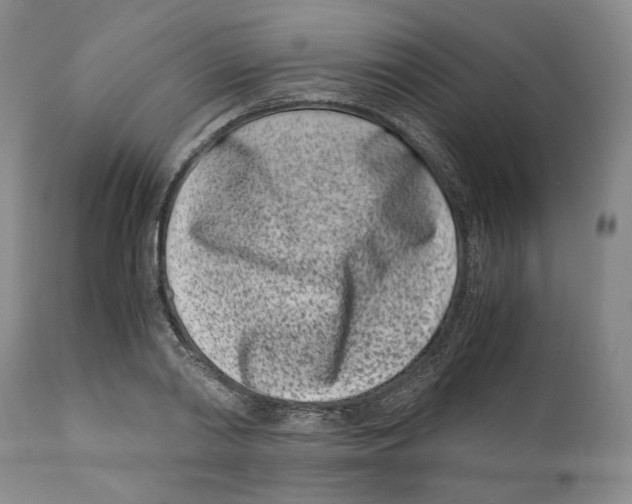 X0000110770790200907131232