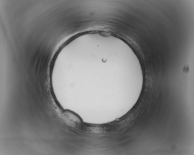 X0000110770792200907131232