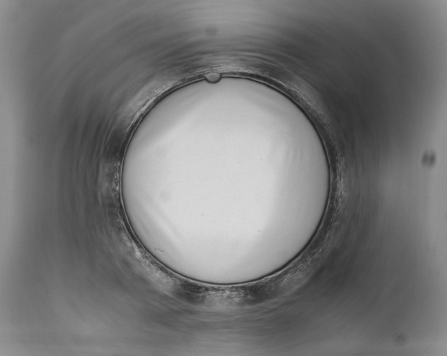 X0000110770793200907131232