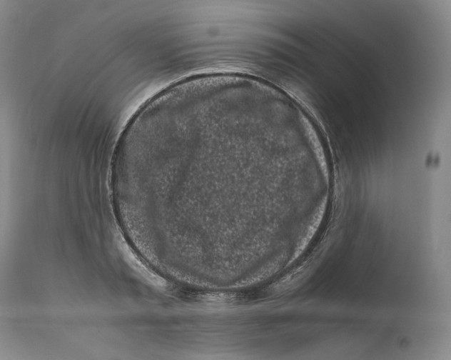 X0000110770797200907131232