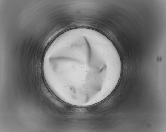 X0000110770798200907131232