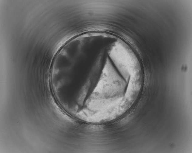 X0000110770802200907131232