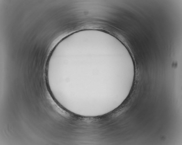 X0000110770803200907131232