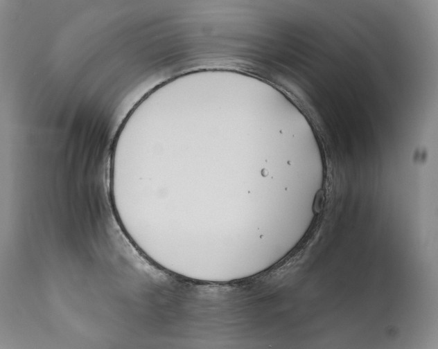 X0000110770804200907131232