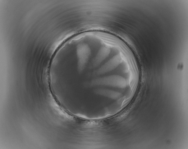 X0000110770806200907131232