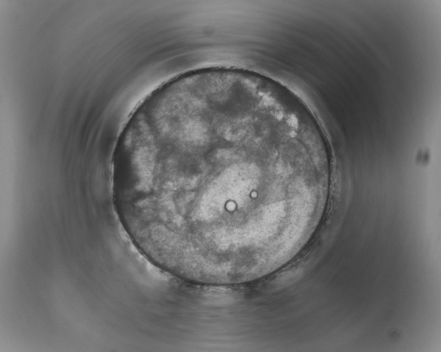 X0000110770807200907131232