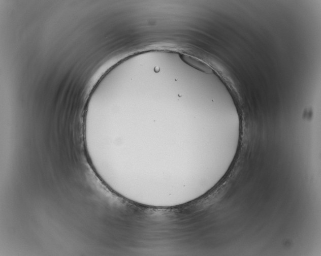 X0000110770808200907131232