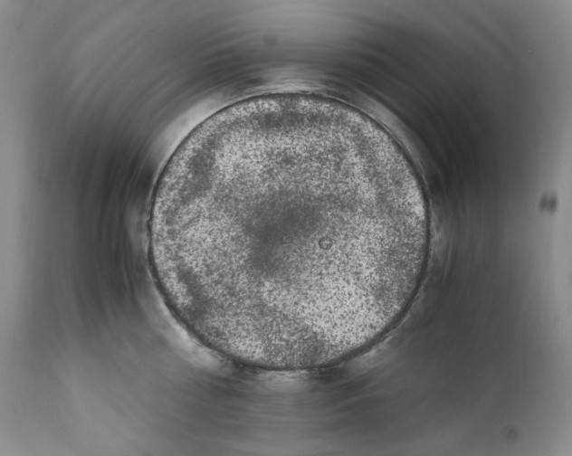 X0000110770810200907131232