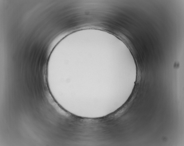 X0000110770812200907131232