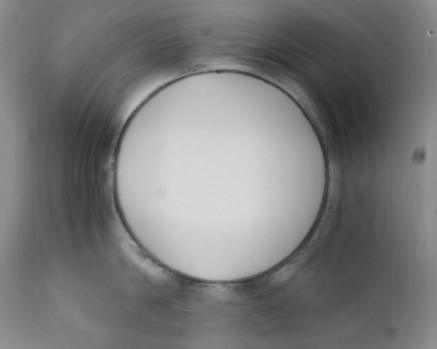 X0000110770814200907131232