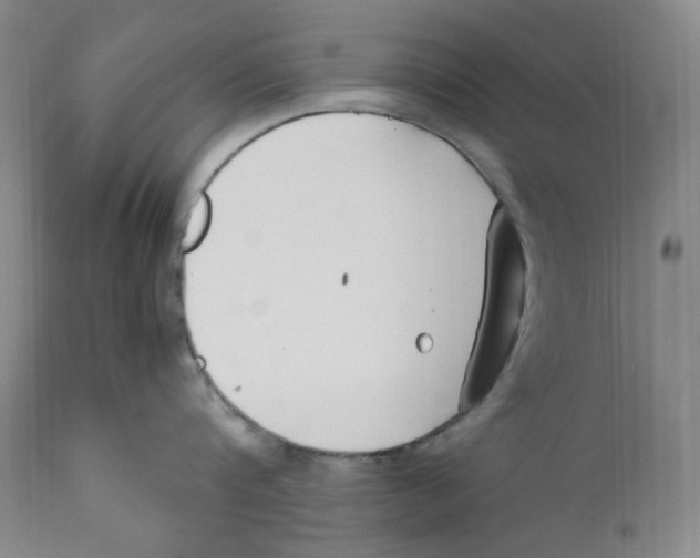 X0000110770816200907131232