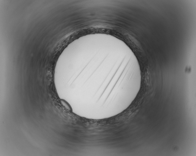 X0000110770821200907131231