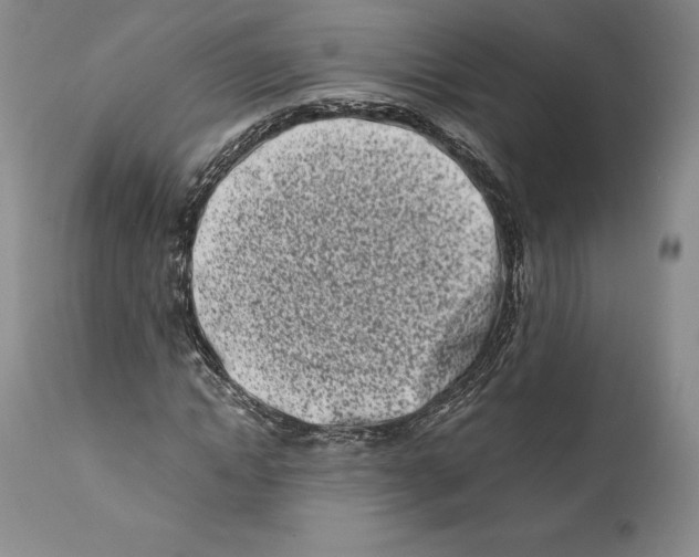 X0000110770822200907131232