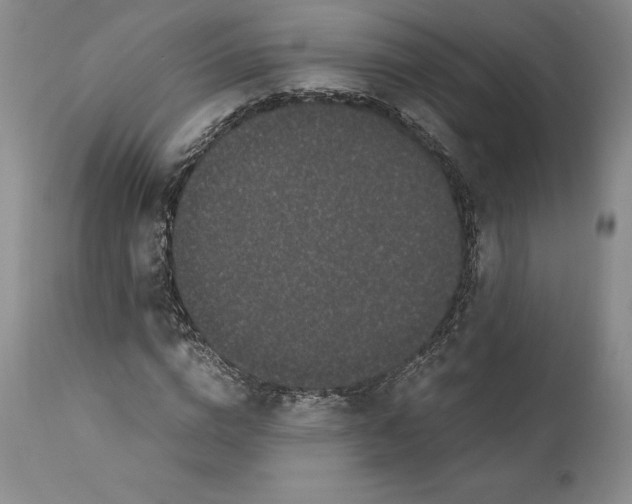 X0000110770824200907131232