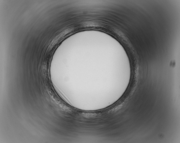 X0000110770825200907131232