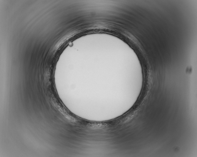 X0000110770826200907131232