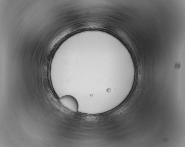 X0000110770827200907131232