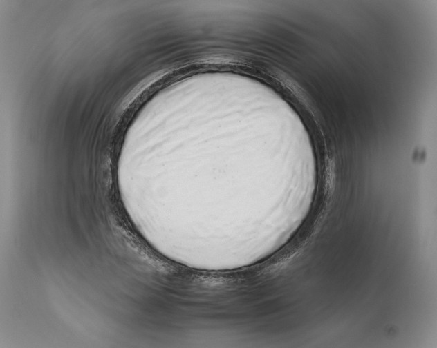 X0000110770829200907131232