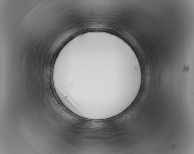 X0000110770831200907131232