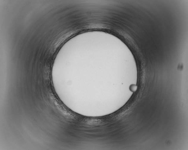 X0000110770833200907131232