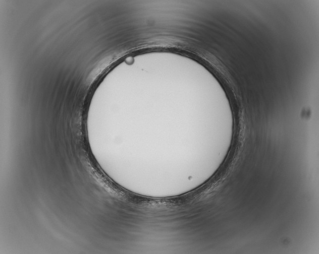 X0000110770834200907131232