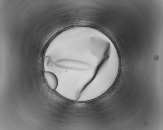 X0000110770835200907131232