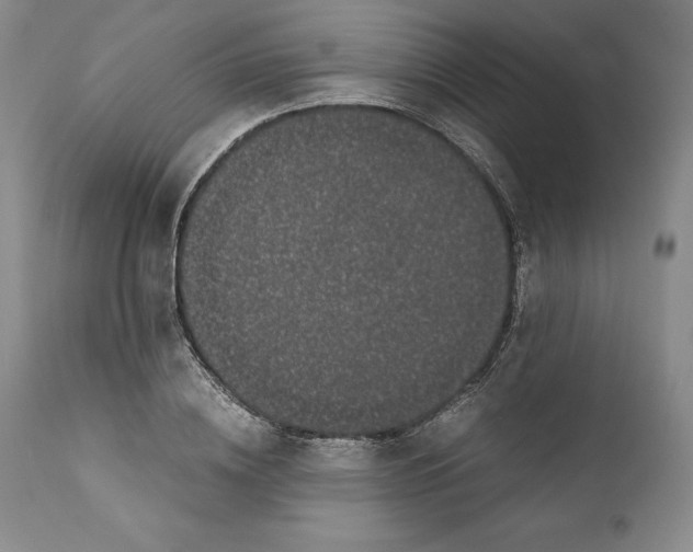 X0000110770836200907131232