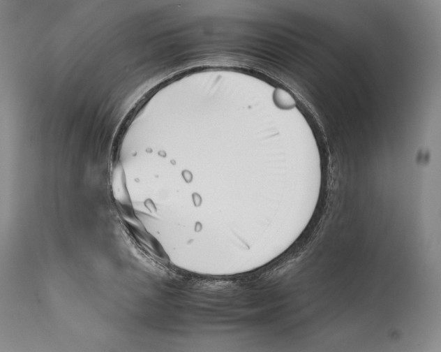 X0000110770837200907131232