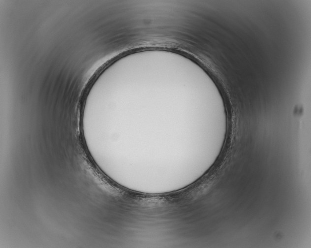 X0000110770838200907131232