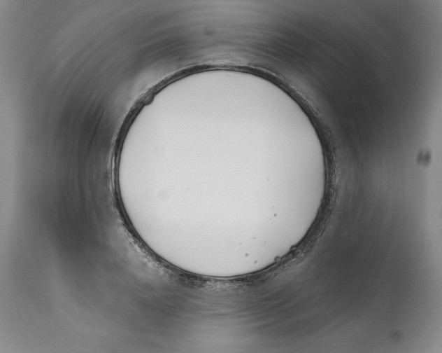 X0000110770840200907131232