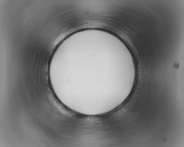 X0000110770842200907131232