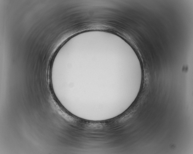 X0000110770843200907131232