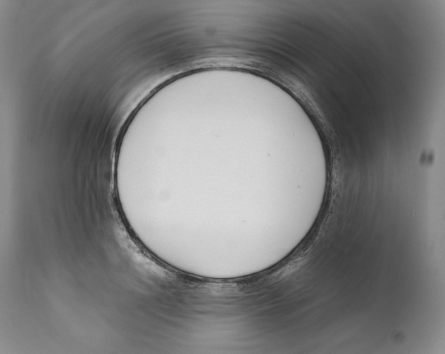 X0000110770844200907131232