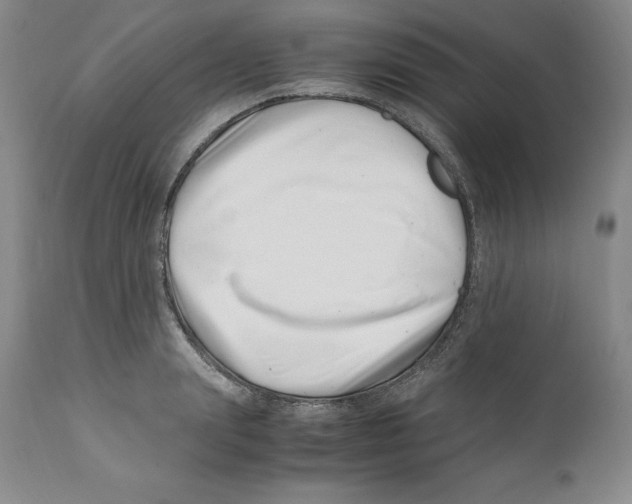 X0000110770847200907131232