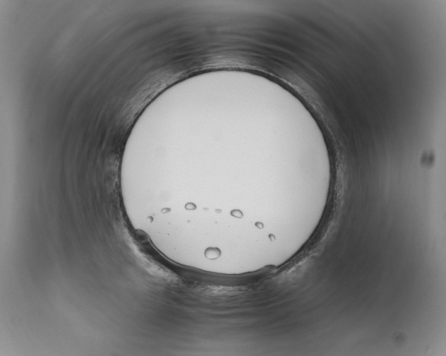 X0000110770849200907131232