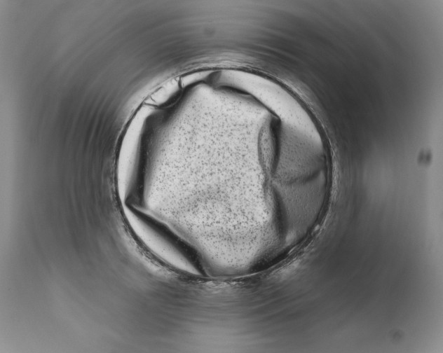 X0000110770850200907131232