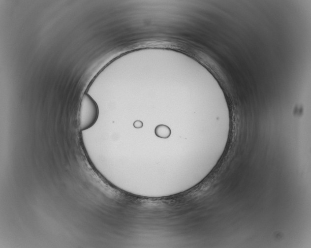 X0000110770852200907131232