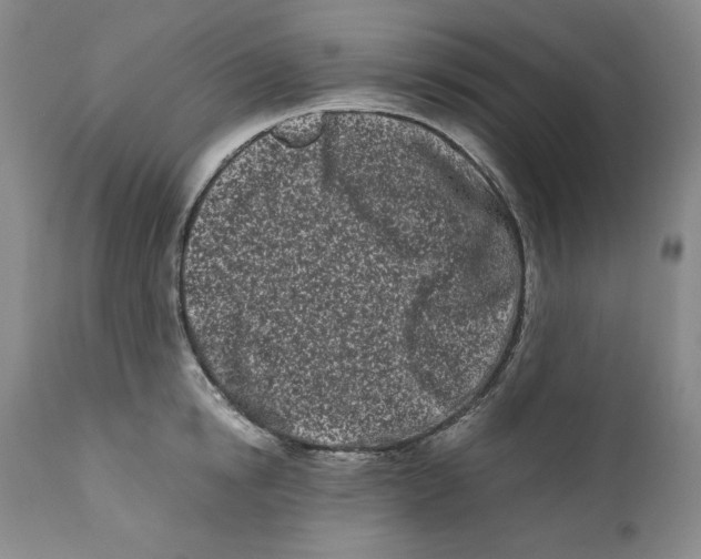 X0000110770854200907131232