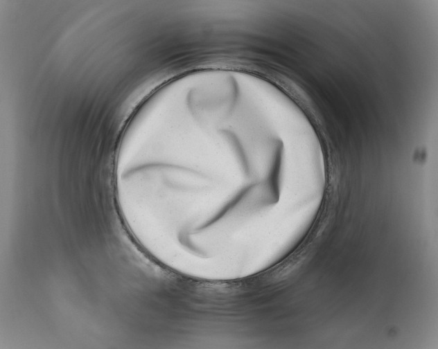 X0000110770855200907131232