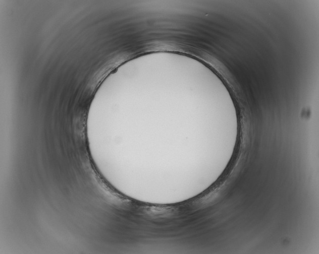 X0000110770857200907131232