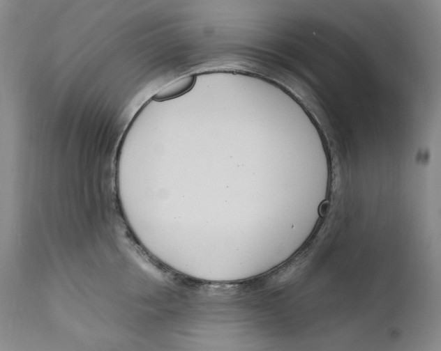 X0000110770858200907131232